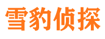 老河口侦探社